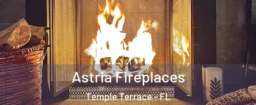  Astria Fireplaces Temple Terrace - FL