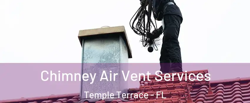  Chimney Air Vent Services Temple Terrace - FL
