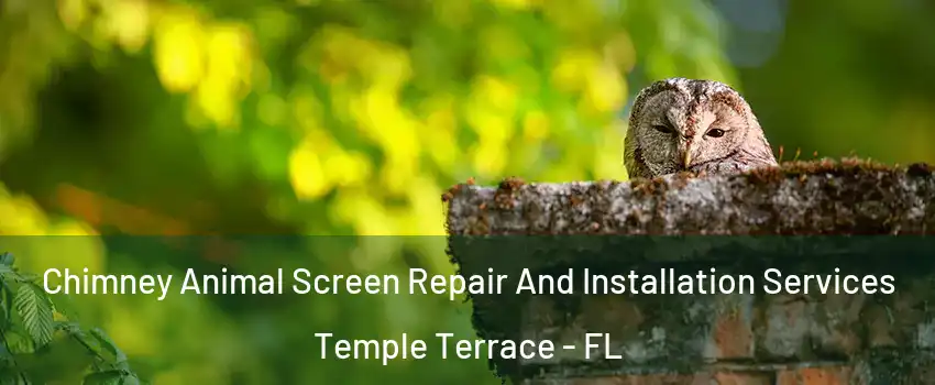  Chimney Animal Screen Repair And Installation Services Temple Terrace - FL