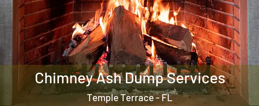  Chimney Ash Dump Services Temple Terrace - FL