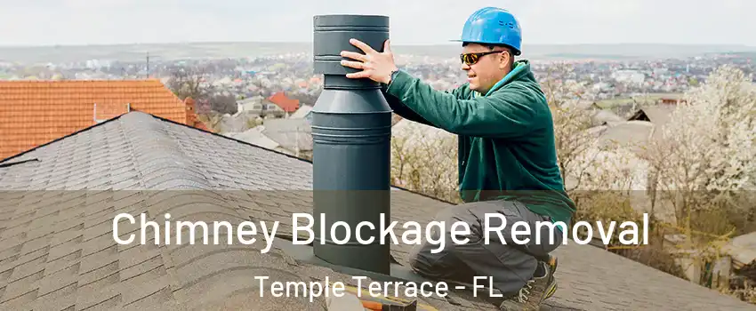  Chimney Blockage Removal Temple Terrace - FL