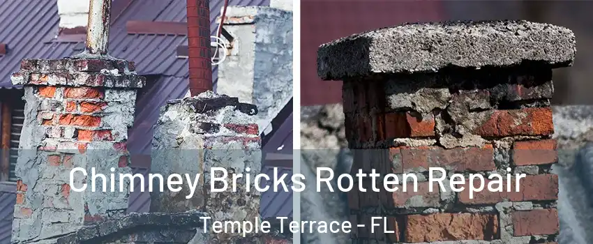  Chimney Bricks Rotten Repair Temple Terrace - FL