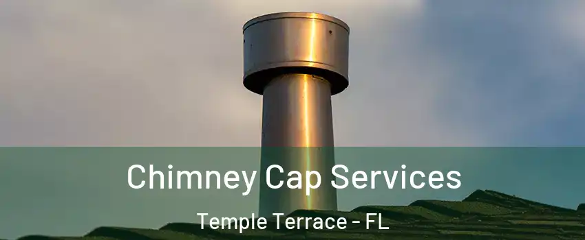  Chimney Cap Services Temple Terrace - FL