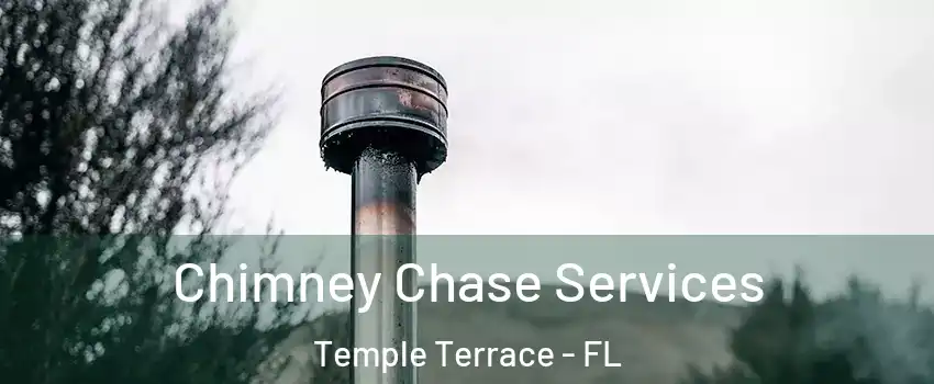 Chimney Chase Services Temple Terrace - FL