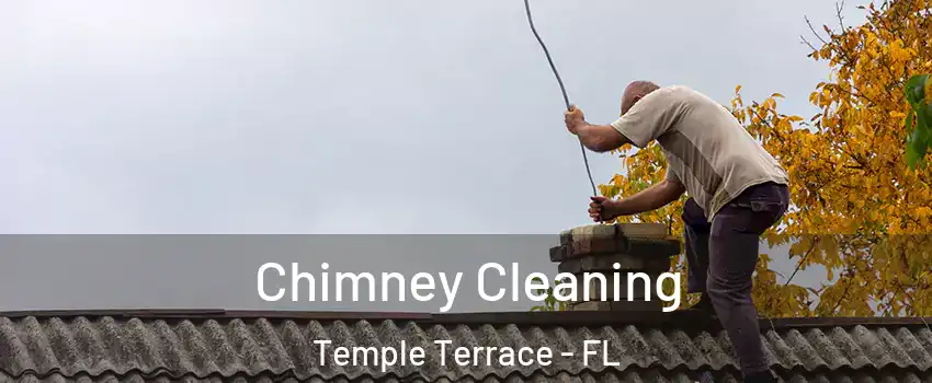  Chimney Cleaning Temple Terrace - FL