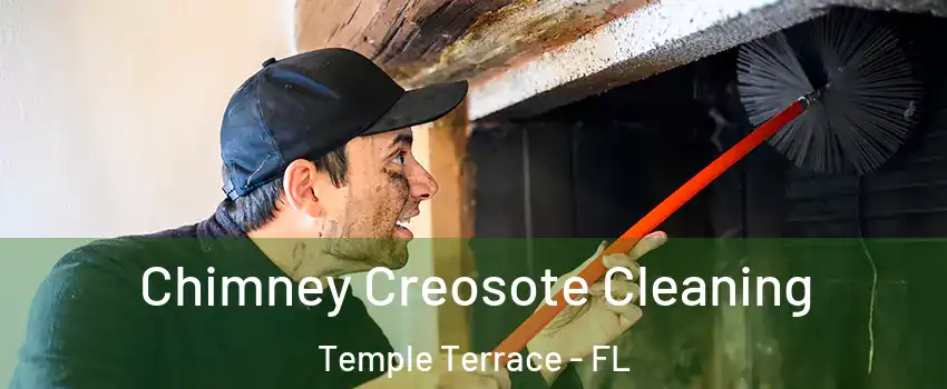  Chimney Creosote Cleaning Temple Terrace - FL