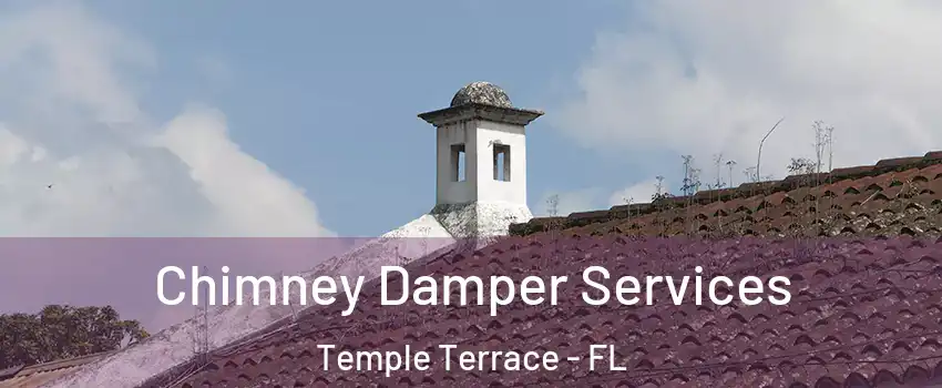  Chimney Damper Services Temple Terrace - FL
