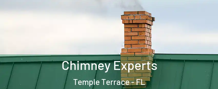  Chimney Experts Temple Terrace - FL