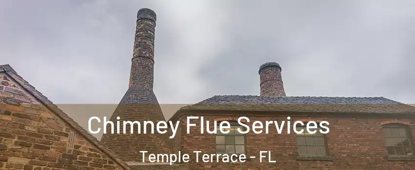  Chimney Flue Services Temple Terrace - FL
