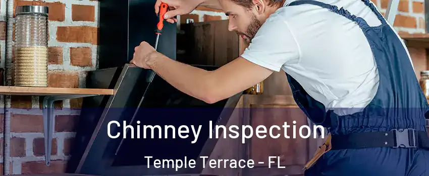  Chimney Inspection Temple Terrace - FL