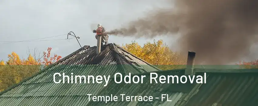  Chimney Odor Removal Temple Terrace - FL