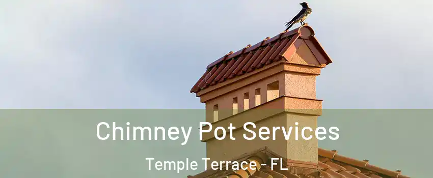  Chimney Pot Services Temple Terrace - FL