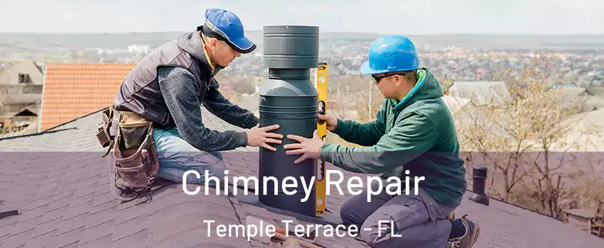  Chimney Repair Temple Terrace - FL