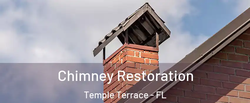  Chimney Restoration Temple Terrace - FL