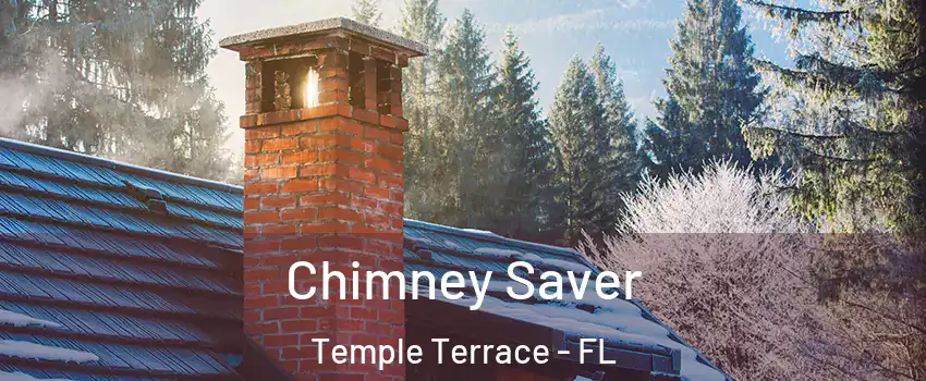  Chimney Saver Temple Terrace - FL