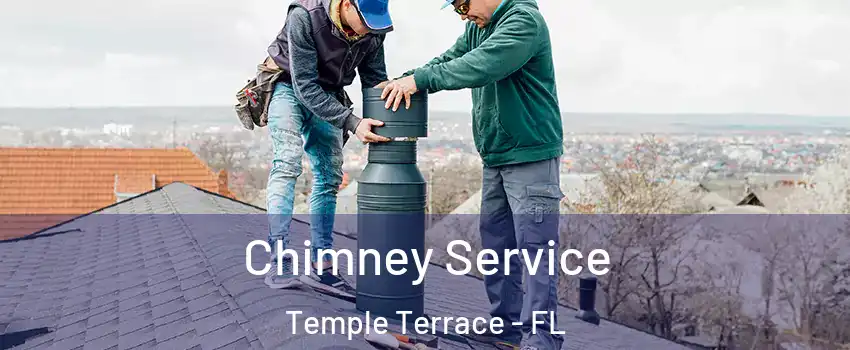  Chimney Service Temple Terrace - FL