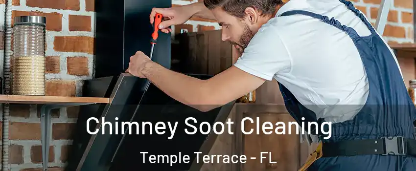  Chimney Soot Cleaning Temple Terrace - FL