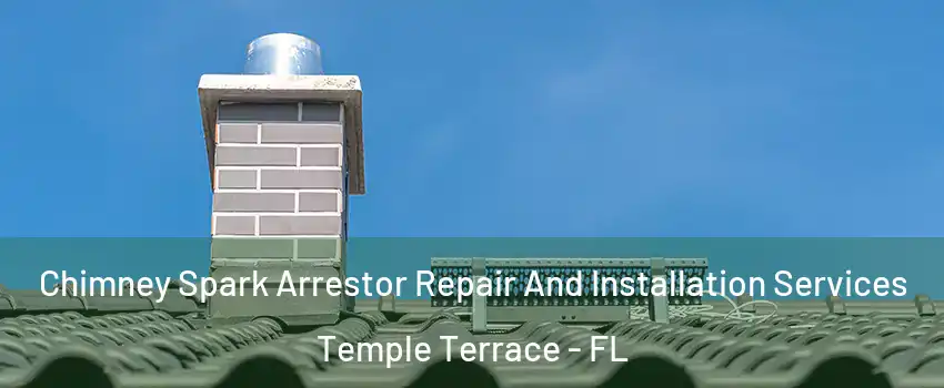  Chimney Spark Arrestor Repair And Installation Services Temple Terrace - FL