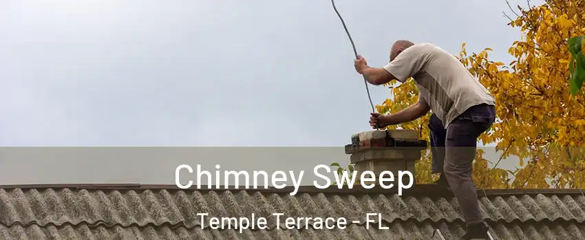  Chimney Sweep Temple Terrace - FL