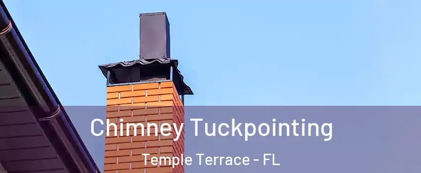  Chimney Tuckpointing Temple Terrace - FL