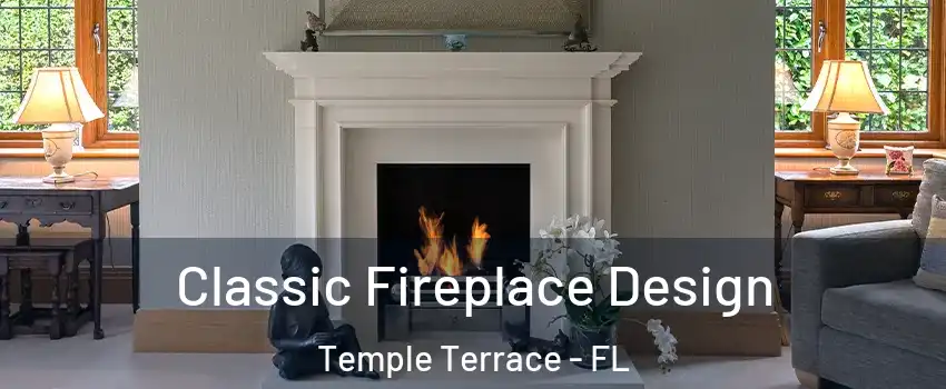  Classic Fireplace Design Temple Terrace - FL