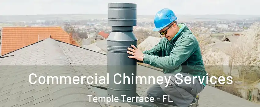  Commercial Chimney Services Temple Terrace - FL
