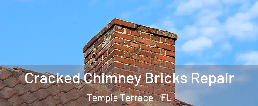  Cracked Chimney Bricks Repair Temple Terrace - FL