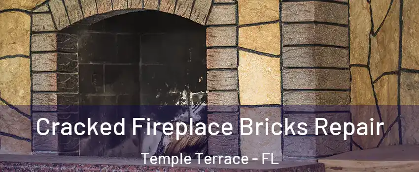  Cracked Fireplace Bricks Repair Temple Terrace - FL