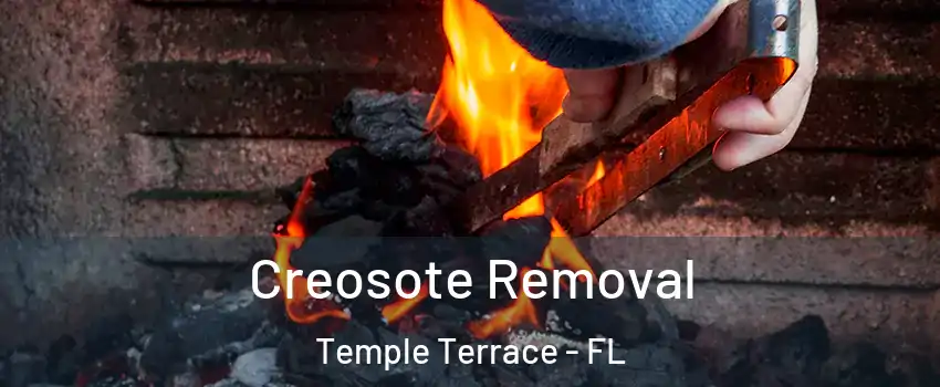  Creosote Removal Temple Terrace - FL