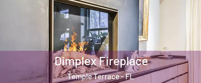  Dimplex Fireplace Temple Terrace - FL