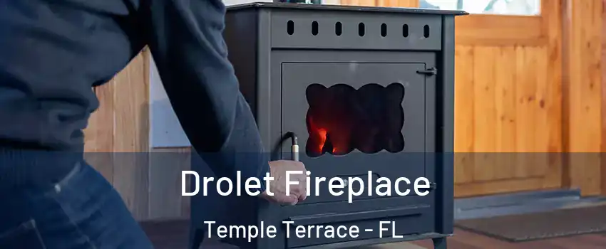  Drolet Fireplace Temple Terrace - FL