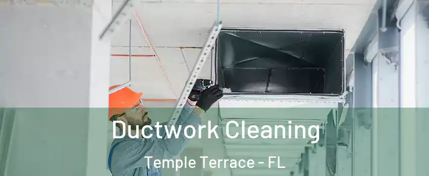  Ductwork Cleaning Temple Terrace - FL