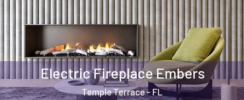  Electric Fireplace Embers Temple Terrace - FL