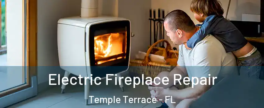  Electric Fireplace Repair Temple Terrace - FL