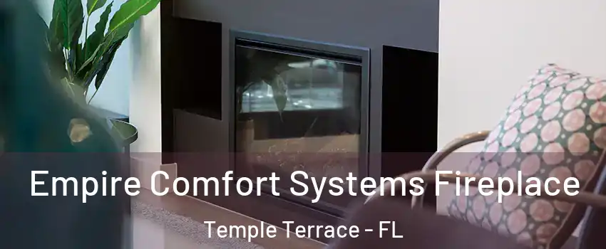  Empire Comfort Systems Fireplace Temple Terrace - FL