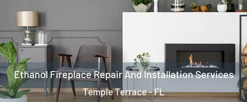  Ethanol Fireplace Repair And Installation Services Temple Terrace - FL