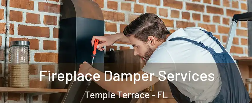  Fireplace Damper Services Temple Terrace - FL