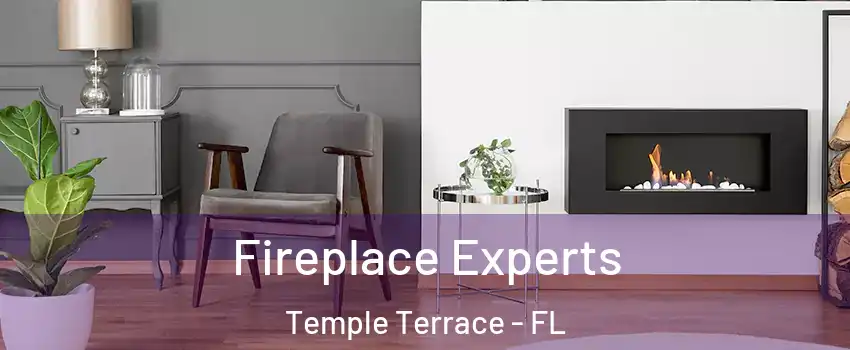  Fireplace Experts Temple Terrace - FL