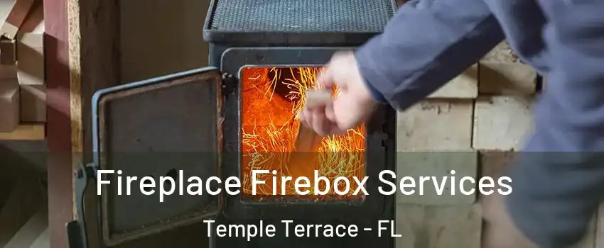  Fireplace Firebox Services Temple Terrace - FL