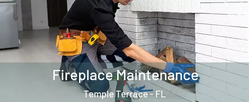  Fireplace Maintenance Temple Terrace - FL