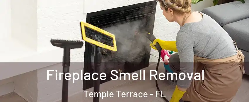  Fireplace Smell Removal Temple Terrace - FL