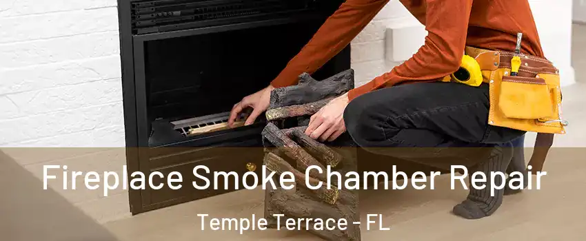  Fireplace Smoke Chamber Repair Temple Terrace - FL