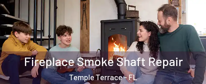  Fireplace Smoke Shaft Repair Temple Terrace - FL