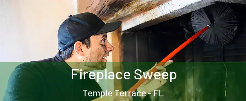  Fireplace Sweep Temple Terrace - FL