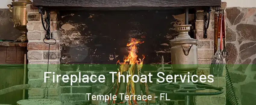  Fireplace Throat Services Temple Terrace - FL
