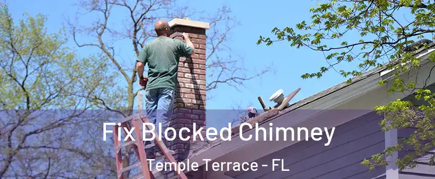  Fix Blocked Chimney Temple Terrace - FL