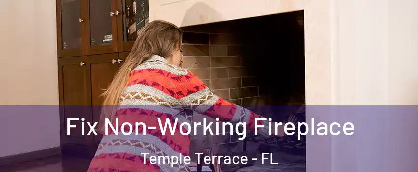  Fix Non-Working Fireplace Temple Terrace - FL