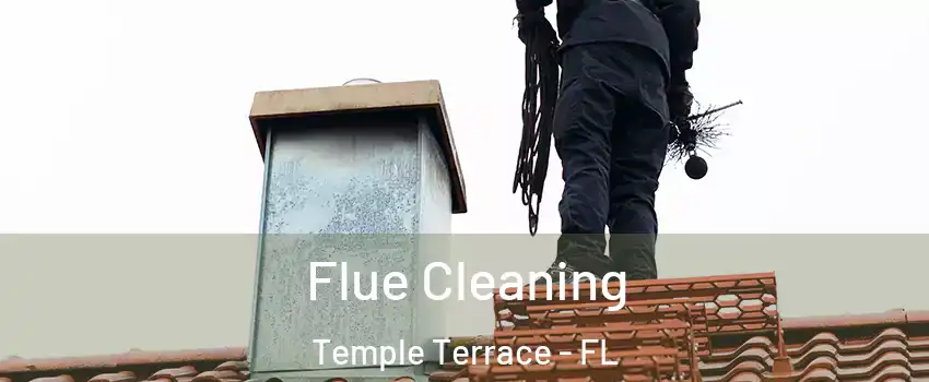  Flue Cleaning Temple Terrace - FL