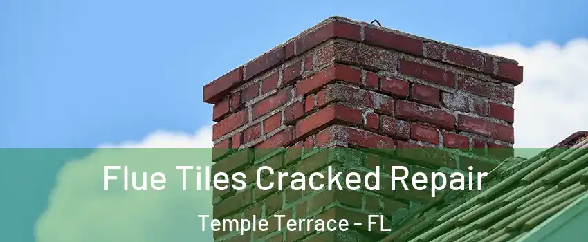  Flue Tiles Cracked Repair Temple Terrace - FL