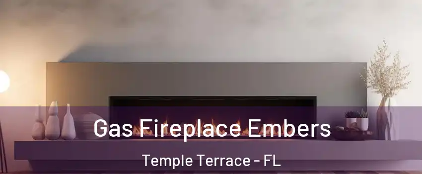  Gas Fireplace Embers Temple Terrace - FL